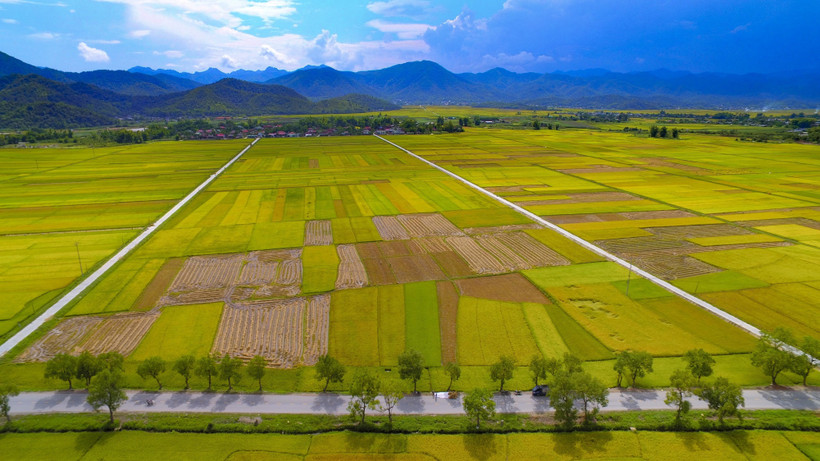 Mở rộng hạn mức nhận chuyển nhượng quyền sử dụng đất nông nghiệp