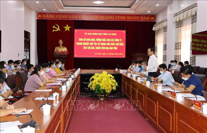 Lai Châu bàn giải pháp gỡ khó cho tiêu thụ sản phẩm chè, chuối