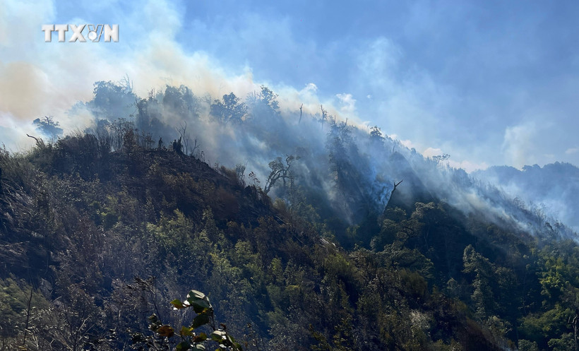 Xuất hiện điểm cháy mới tại Vườn Quốc gia Hoàng Liên