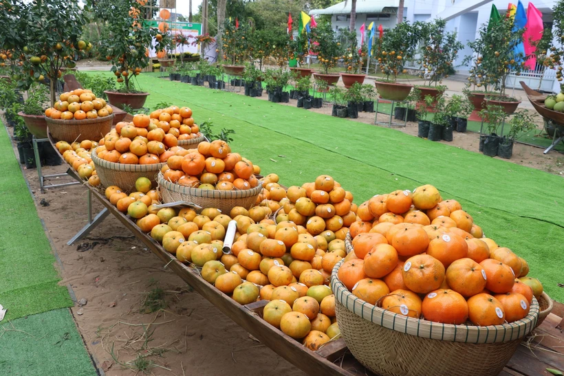 Lễ hội quýt hồng Lai Vung lần thứ nhất năm 2023: Quảng bá đặc sản vùng đất Đồng Tháp