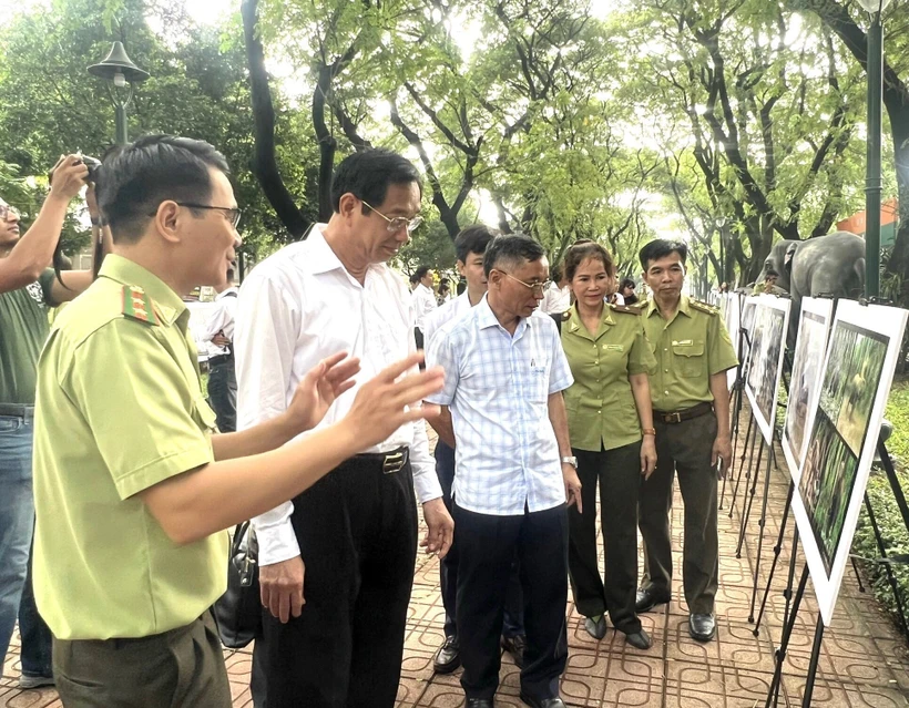 Bảo tồn voi theo hướng chung sống hài hòa