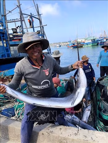 Ngư dân Quảng Ngãi trúng đậm cá cờ đầu năm mới