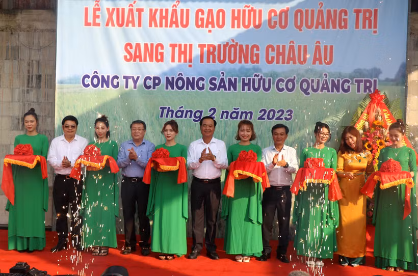 Quảng Trị xuất khẩu lô gạo hữu cơ đầu tiên sang châu Âu