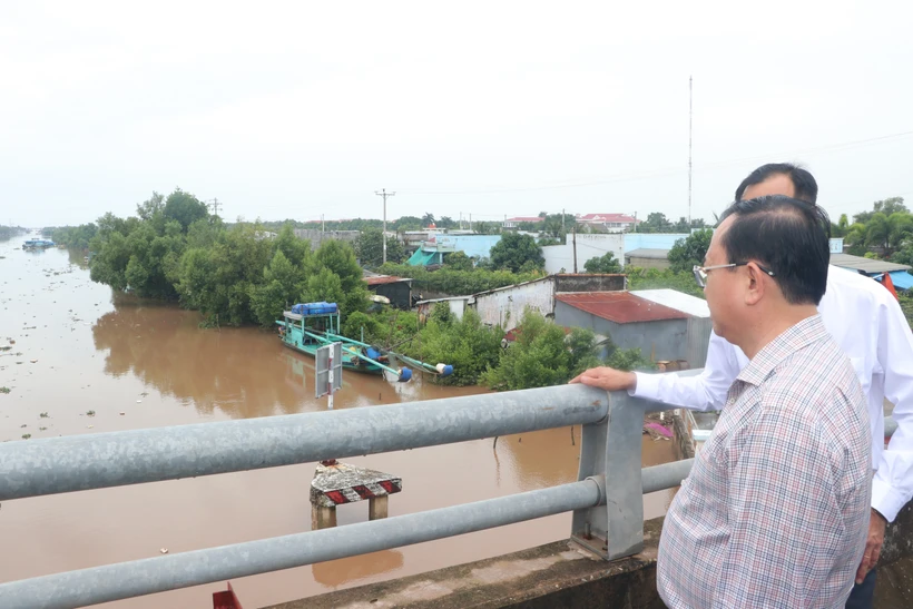 Cấp bách chống sạt lở, triều cường tại Bạc Liêu