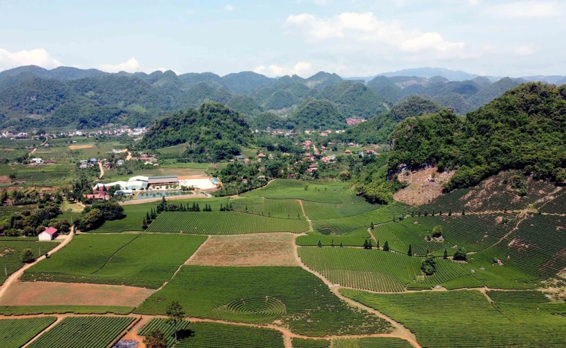 Những nông dân vùng cao giỏi làm giàu