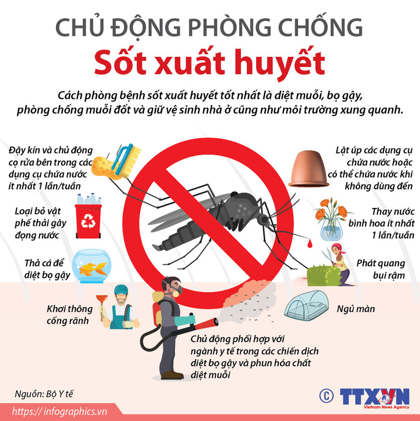 Bình Phước: Số ca mắc sốt xuất huyết tăng 90%, đã có 5 trường hợp tử vong