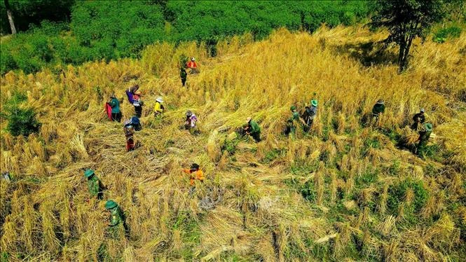 Sắt son tình quân - dân nơi biên giới tỉnh Gia Lai
