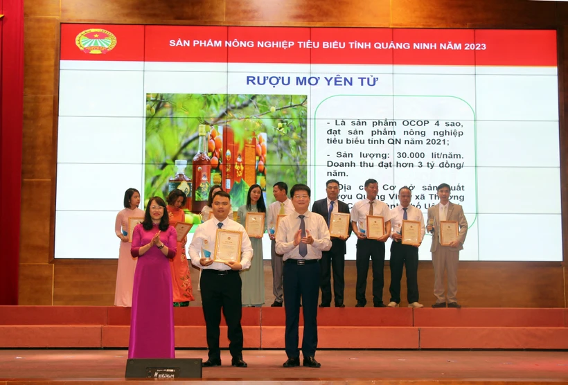 Nâng giá trị quả mơ Yên Tử