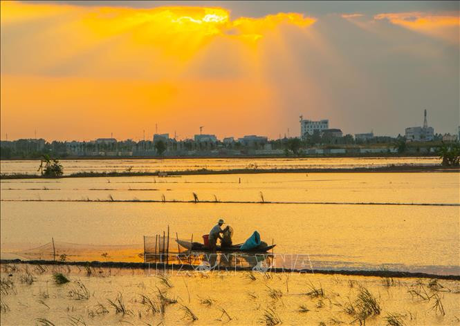 Đề xuất ban hành Nghị quyết mới về phát triển kinh tế - xã hội vùng Đồng bằng sông Cửu Long