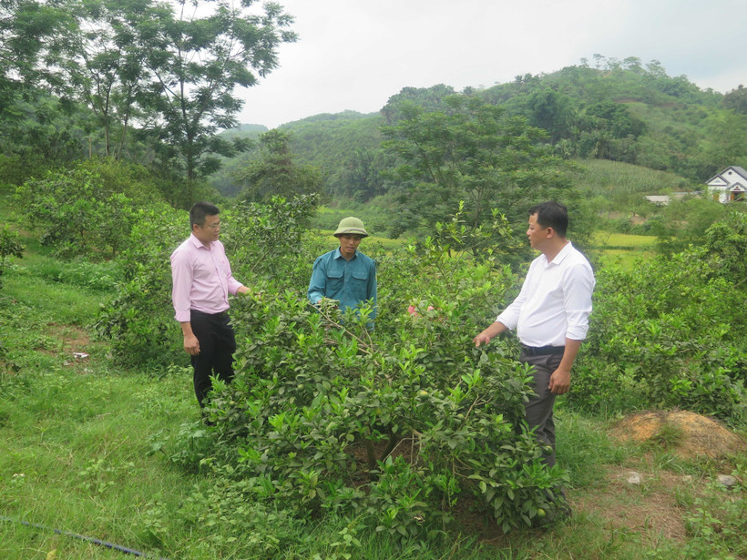 Tuyên Quang hỗ trợ đồng bào dân tộc thiểu số nâng cao đời sống