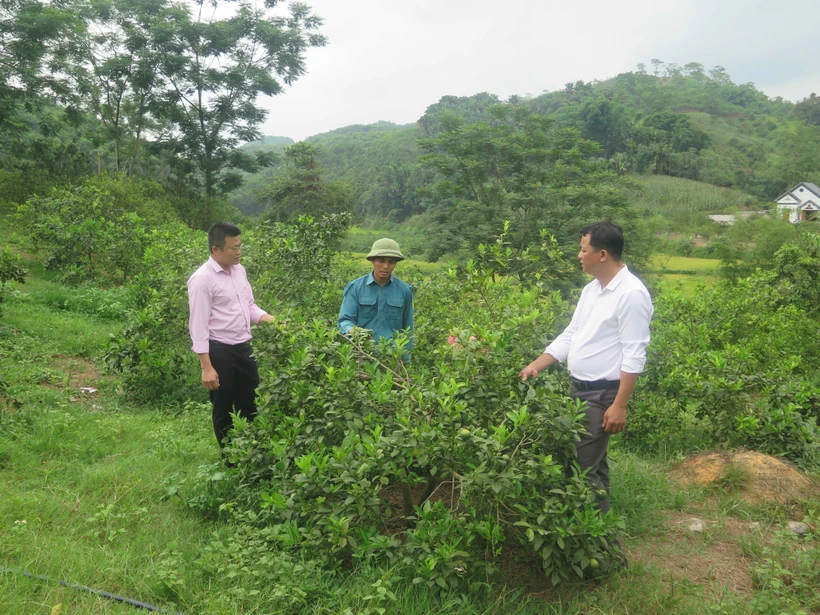 Tuyên Quang hỗ trợ đồng bào dân tộc thiểu số nâng cao đời sống
