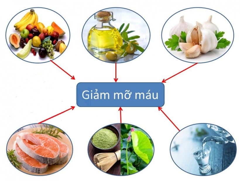 Thay đổi chế độ dinh dưỡng để ngăn ngừa cholesterol máu cao