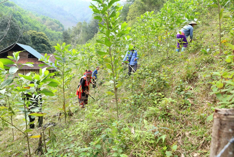 Hoàn thiện chính sách, pháp luật về đất đai (Bài 3)