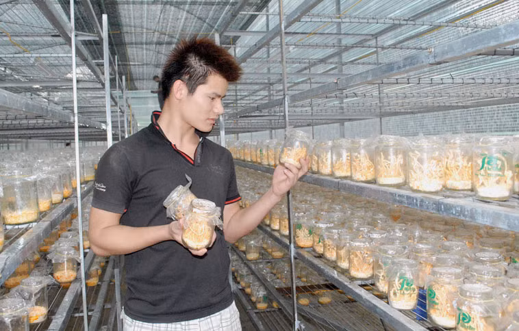 Lâm Đồng công nhận thêm 8 sản phẩm OCOP đợt 1 năm 2021