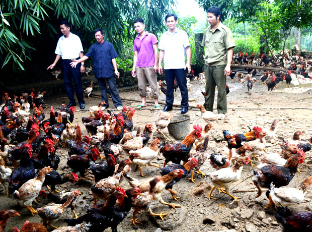 Hà Giang chú trọng đào tạo nghề, giải quyết việc làm để giảm nghèo bền vững