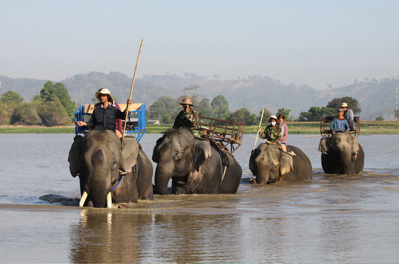 Sẽ không còn việc du khách cưỡi voi trên hồ Lắk sau khi Đắk Lắk triển khai Dự án "Hỗ trợ việc thực hiện chuyển đổi Mô hình du lịch cưỡi voi sang Mô hình du lịch thân thiện với voi trên địa bàn tỉnh”. Ảnh: Dương Giang - TTXVN