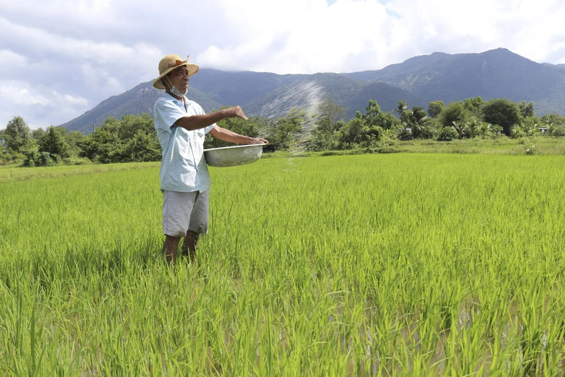 Sản xuất nông nghiệp theo chuỗi liên kết ở Ninh Thuận