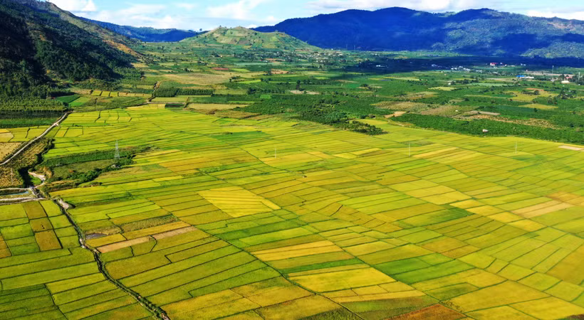 Chủ trương đầu tư 3 dự án lớn vào khu vực Tây Nguyên