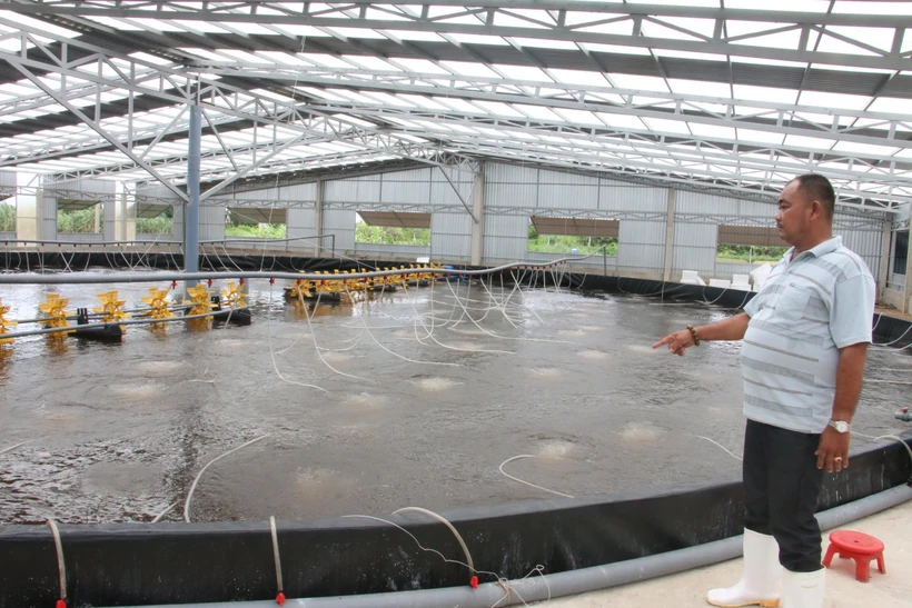 Bến Tre phát triển nuôi tôm ứng dụng công nghệ cao 