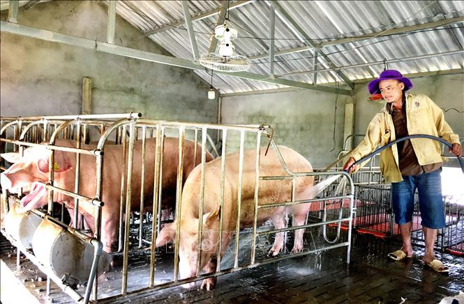 Quảng Bình hỗ trợ sinh kế cho người trở về từ các tỉnh phía Nam