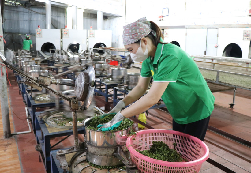 Kiện toàn Ban Chỉ đạo đổi mới, phát triển kinh tế tập thể, hợp tác xã