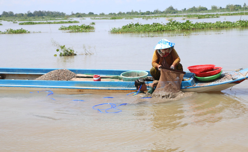 Mưu sinh mùa lũ muộn ở nơi đầu nguồn châu thổ Cửu Long