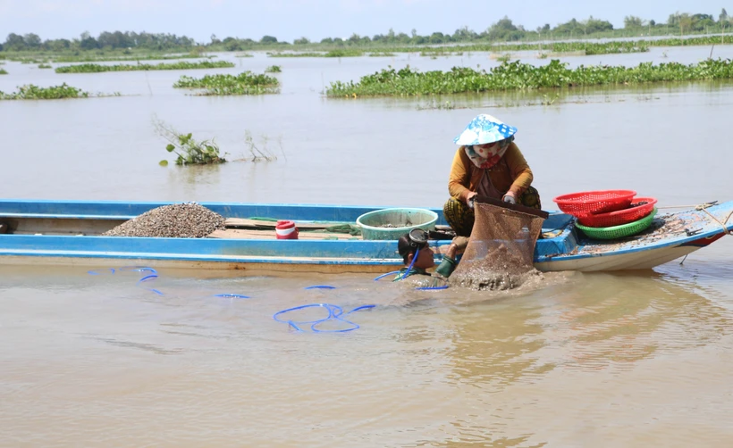 Mưu sinh mùa lũ muộn ở nơi đầu nguồn châu thổ Cửu Long