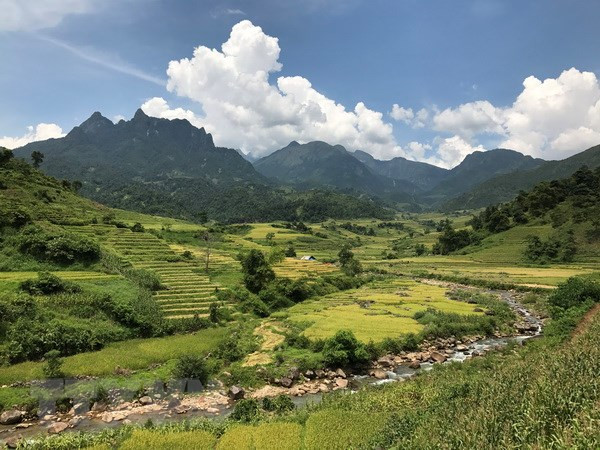 Những thửa ruộng bậc thang ở Bát Xát. Ảnh: Hồng Ninh-TTXVN