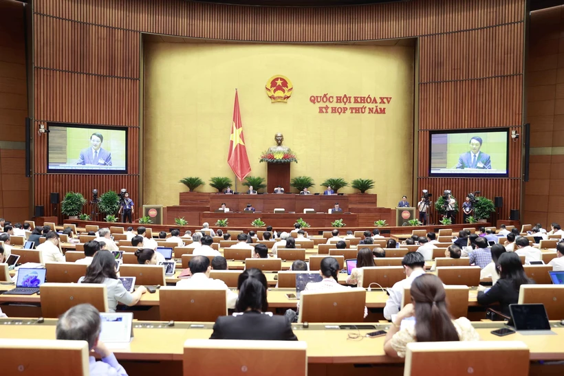 Kỳ họp thứ 5, Quốc hội khóa XV: Cần có chính sách đủ mạnh để thu hút đầu tư vào vùng đồng bào dân tộc