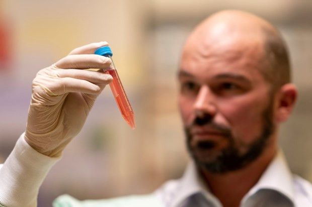 Các nhà nghiên cứu Australia phát triển hydrogel điều trị bệnh Parkinson