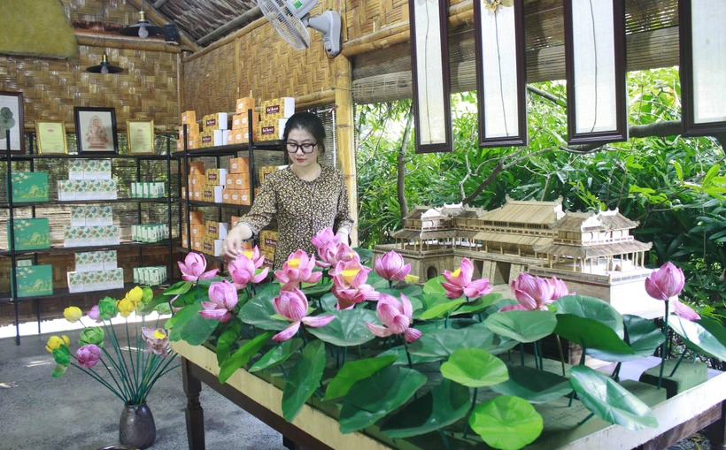 Ninh Bình: Độc đáo sản phẩm du lịch từ sen
