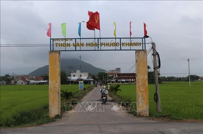 Phú Yên ngăn chặn tình trạng chuyển nhượng đất lúa trái pháp luật