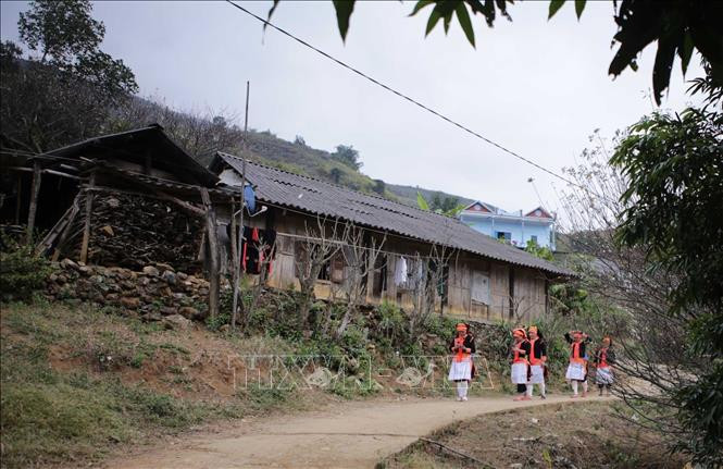Khởi sắc vùng biên giới Phong Thổ, Lai Châu