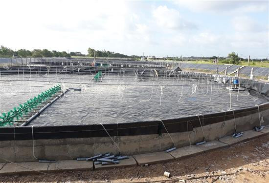 Trà VInh hỗ trợ thành lập mới, phát triển kinh tế hợp tác xã