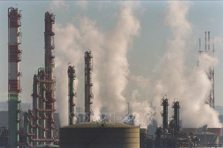 Nồng độ CO2 trong khí quyển ảnh hưởng đến sự phát triển của phổi 