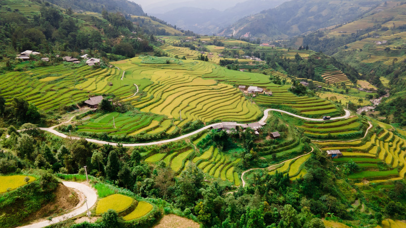 “Tiếng gọi mùa vàng” - trải nghiệm du lịch ruộng bậc thang Hoàng Su Phì