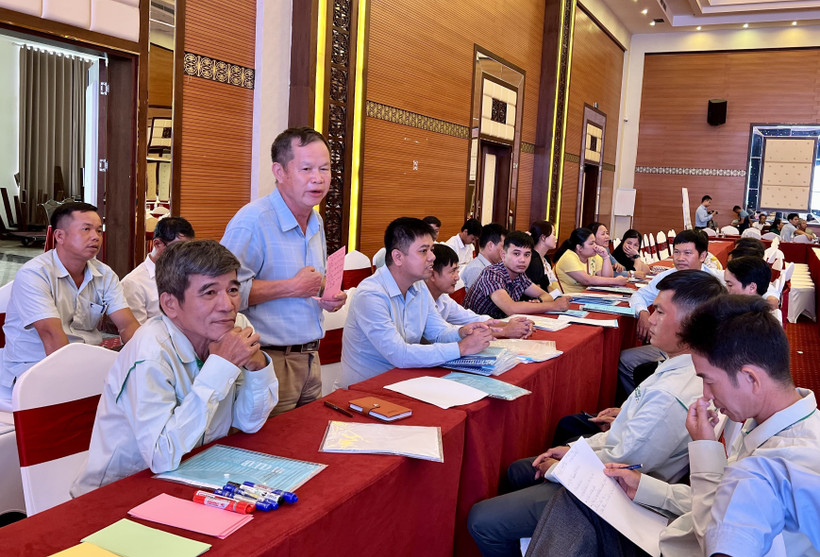 Tìm giải pháp phát triển khuyến nông cộng đồng tại vùng nguyên liệu gỗ lớn