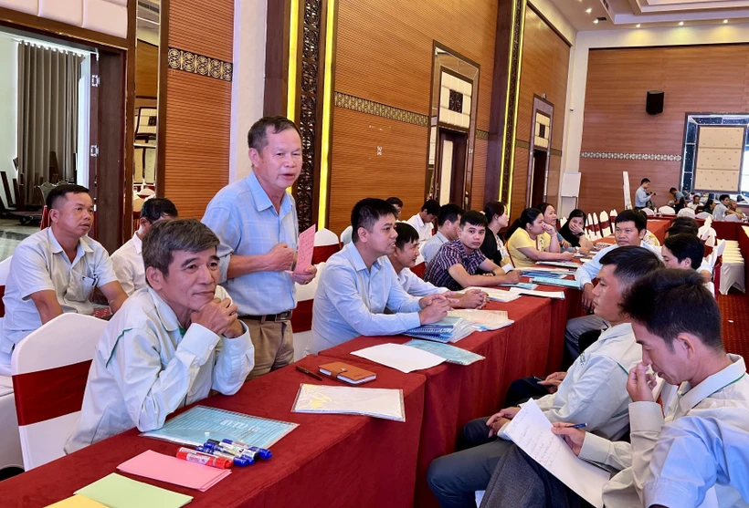 Tìm giải pháp phát triển khuyến nông cộng đồng tại vùng nguyên liệu gỗ lớn