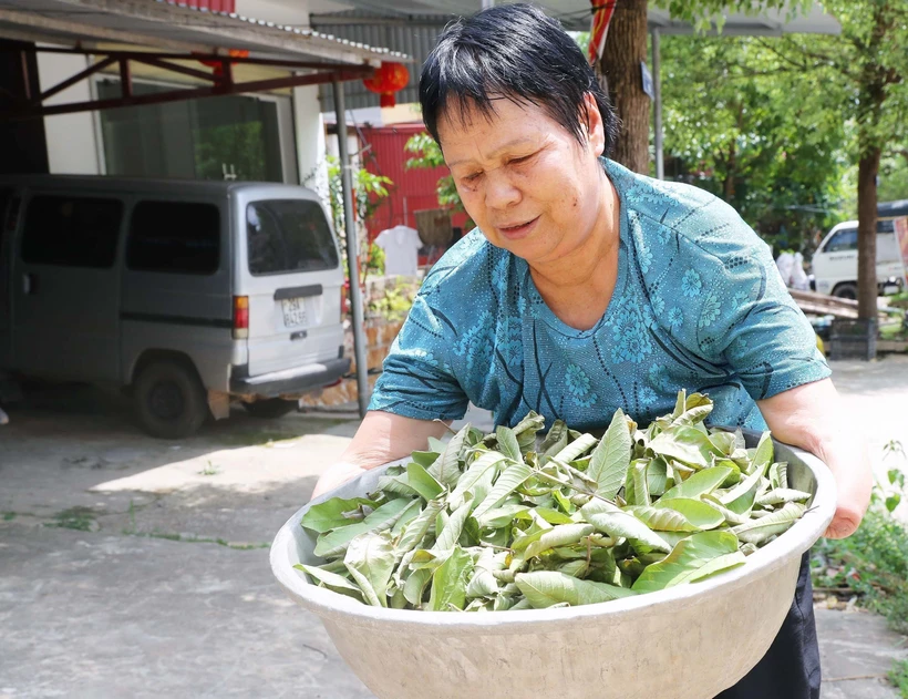 Sự sống nảy mầm trên những vùng “đất chết” (Bài 1)