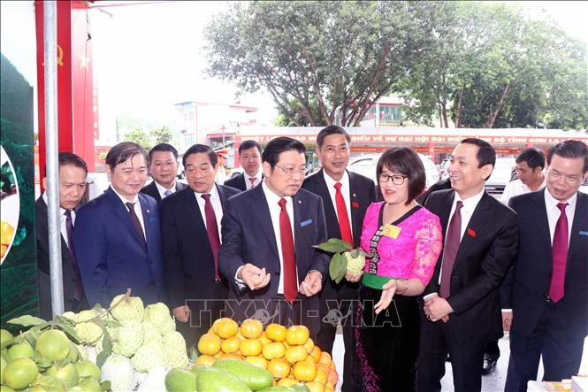 Xây dựng tỉnh Sơn La phát triển xanh, nhanh và bền vững