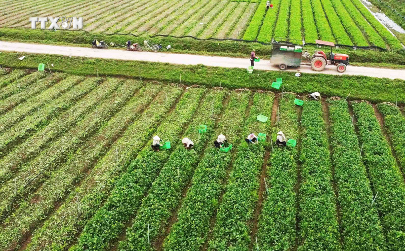 Những chính sách nổi bật có hiệu lực trong tháng 3/2024