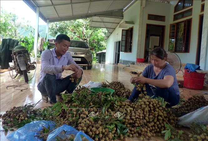 Xây dựng các phương án sản xuất, cung ứng nông sản đến quý I/2022
