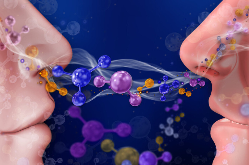 Những người có mùi cơ thể tương đồng thường dễ kết bạn với nhau 