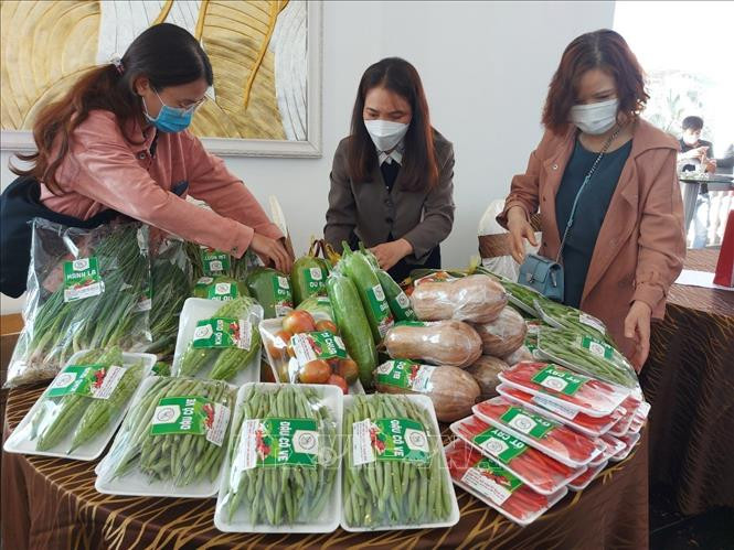 Trao văn bằng bảo hộ sản phẩm nông nghiệp chủ lực, đặc sản tiêu biểu của Gia Lai
