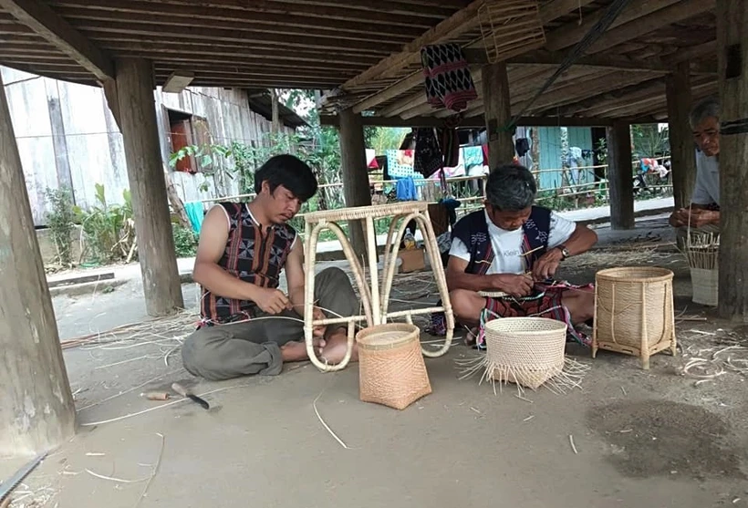Hiệu quả dự án phát triển chuỗi giá trị mây, tre, lá và dược liệu ở Quảng Nam