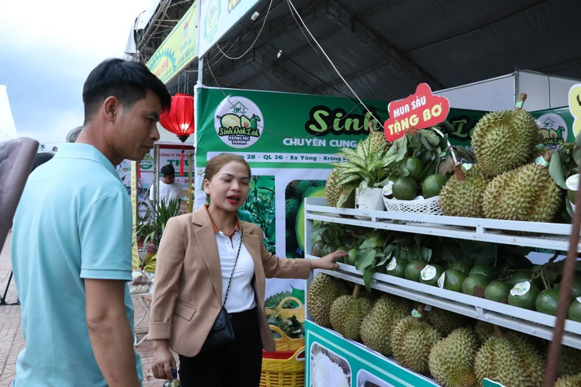 Đắk Lắk tăng cường hiệu quả cấp và quản lý mã số vùng trồng