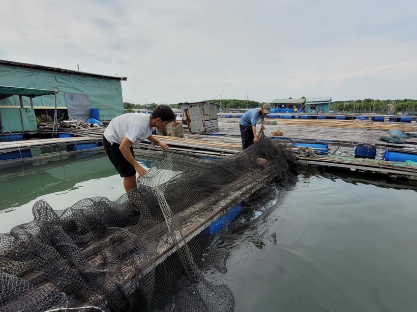 Nuôi thủy sản an toàn trong mùa mưa bão