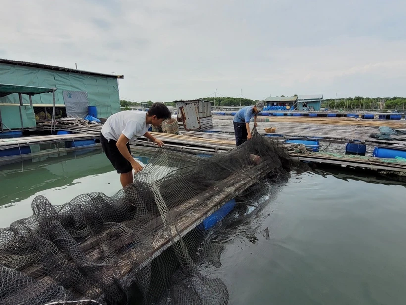 Nuôi thủy sản an toàn trong mùa mưa bão