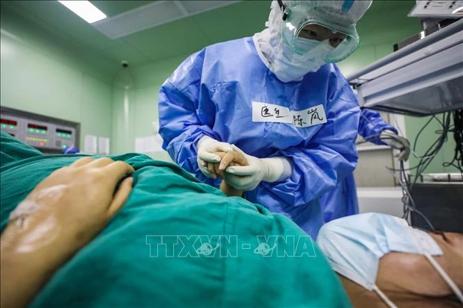 Phát hiện bằng chứng virus SARS-CoV-2 có thể truyền từ mẹ sang thai nhi