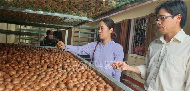 Gia Lai nâng tầm cho sản phẩm OCOP